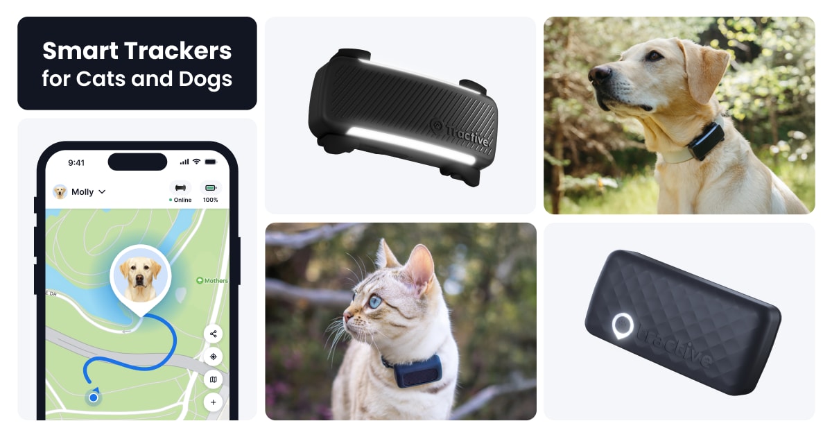 Tractive GPS Dog Tracker with Live Tracking and Health Monitoring